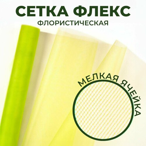 ������ ������ �������� ��� ������ � �������� ����� 