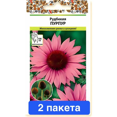 ������ ������ ������ �������� ������ 2 ������ ����