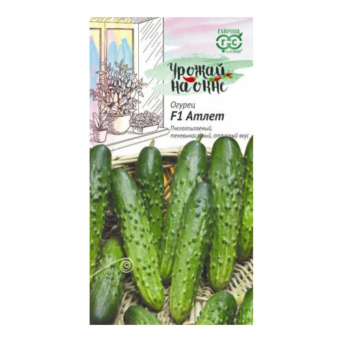 ������ ������ ������ ������ ����� F1 10�� �� (������) ����