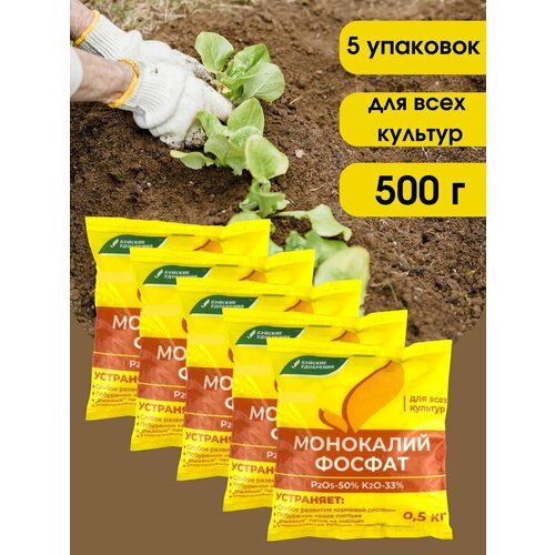 ������ ������ ��������� ��������������� (���������� �����), 2,5 ��. ����