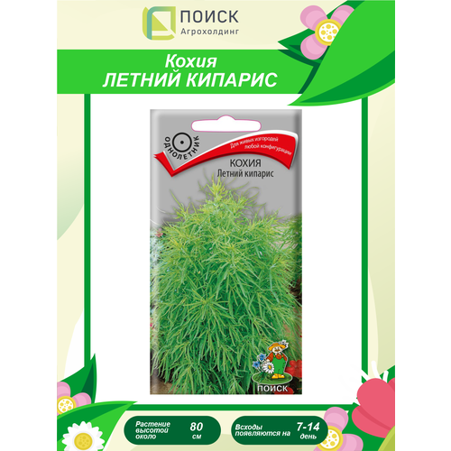 ������ ������ ������ ����� ������ ������� ���������� 0,2 ��. ����