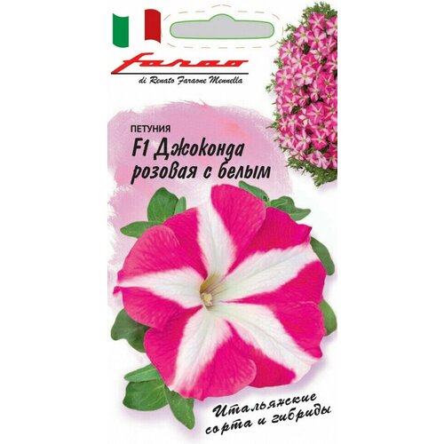 ������ ������ ������ ������� ��������� (��������) �������� ������� � ����� F1, 10��, ������, Farao ����