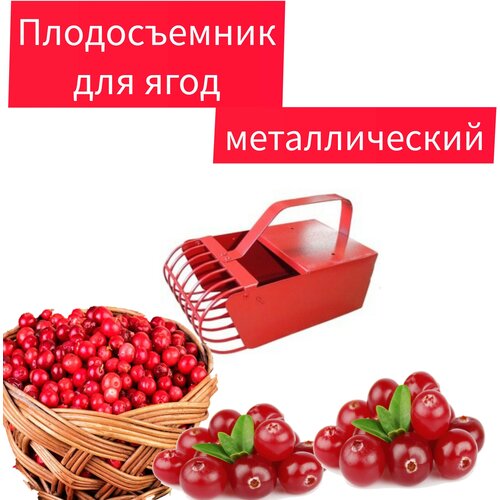 ������ ������ ������� ������������� ��� ����� ���� ������ ����