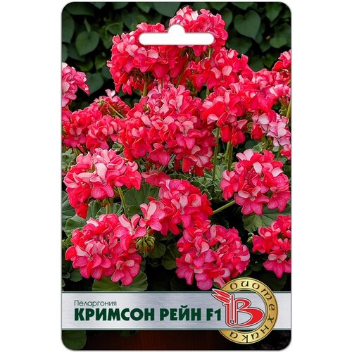 ������ ������ ������ ������ (����������) F1 ������� ���� 5 ���� ����� ���������� ����