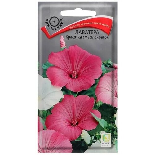 ������ ������ �������� �������� �����, 1 ������� 0,3 ��. �����, ����� ����