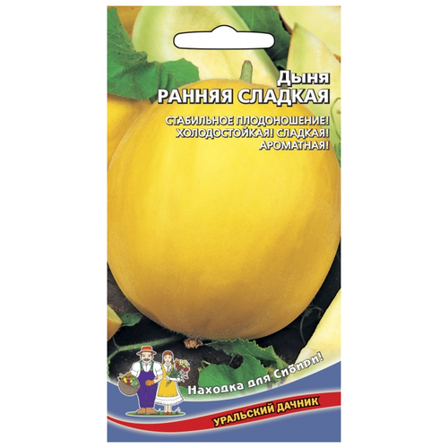 ������ ������ ������ ���� ������ ������� ����