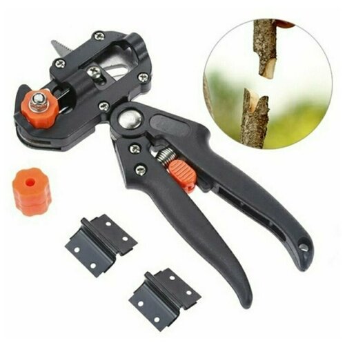 ������ ������ ������� ����������� ����� ����� / �������� ��� �������� �������� ����