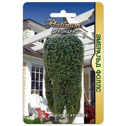 ������ ������ ������ �������� 