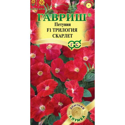 ������ ������ ������ ������� �������� ������� F1 ��������� 4�� ��� 100�� (������) ������� ������ ����