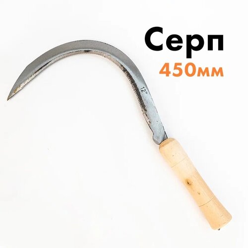 ������ ������ ���� ������� 450�� � ���������� ������ ����