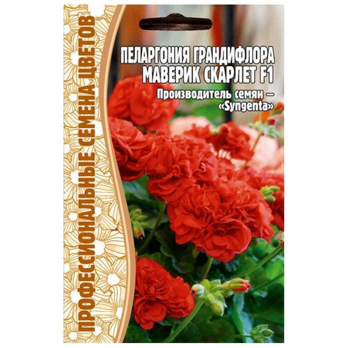 ������ ������ ������ ���������� ����������� 