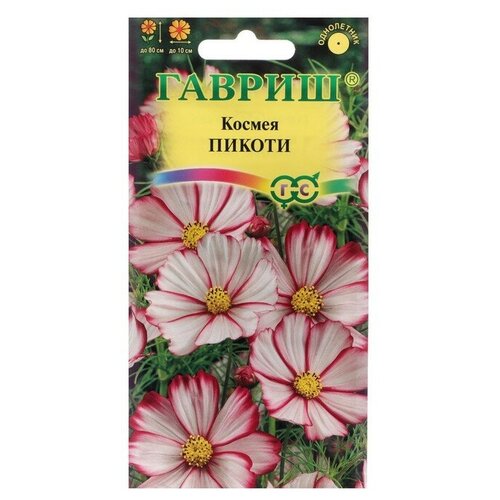 ������ ������ ������. ������ 