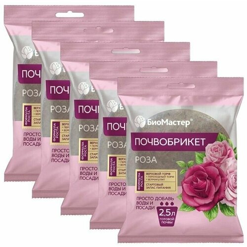 ������ ������ ����������� 