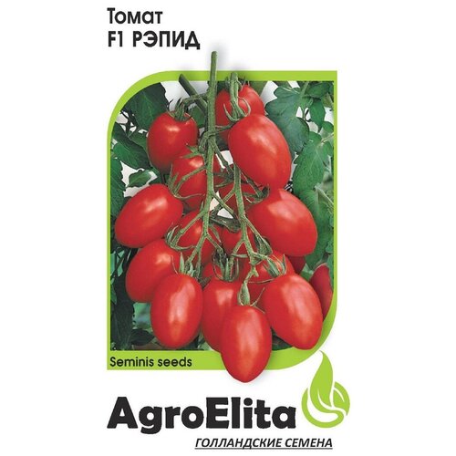 ������ ������ ������ ��������� 