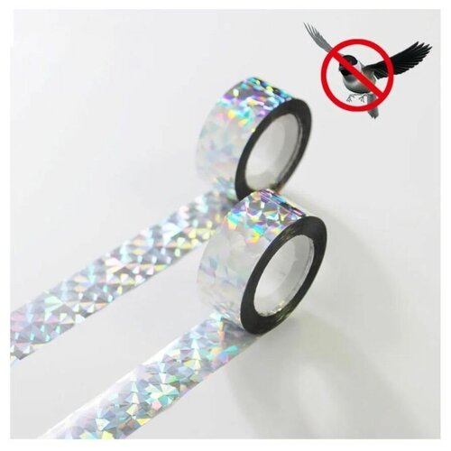 ������ ������ ����� �� ���� ��������������� ������������ ����