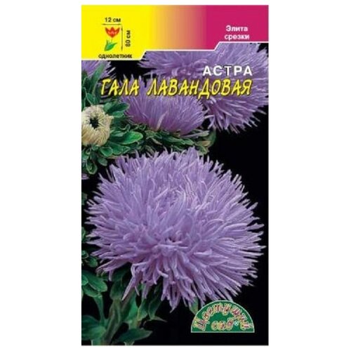 ������ ������ ������ �������� ��� 