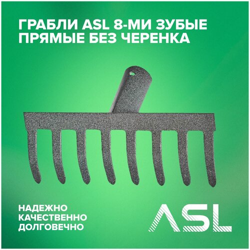   ASL 8-       -     , -,   