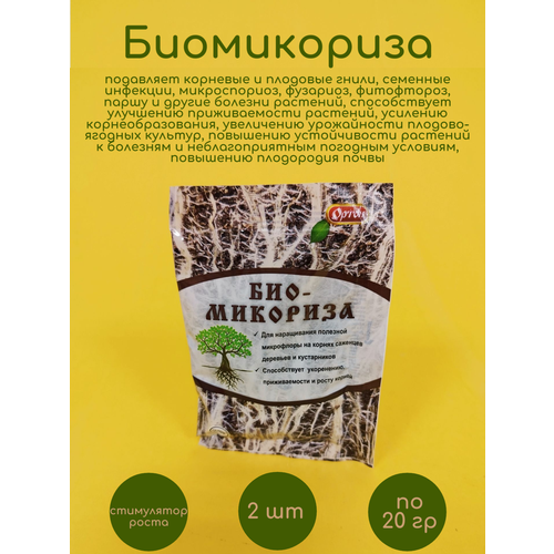 ������ ������ ����������� 2 �� �� 20 �� ����