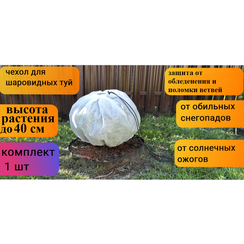 ������ ������ ������ ����� ��� ������ � �������� � ��������/��� ���������� ���/��� ���/��� ��������������/��� ��������� ������ 40*80 ��, 1 ��. ����