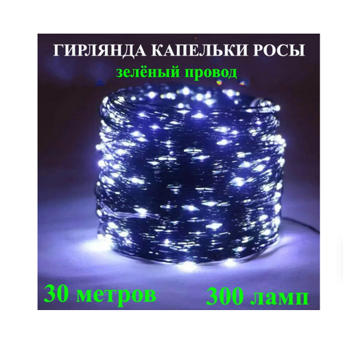 ������ ������ �������� 30 ������, ���� ������ �����, ���� ��������� ������� �� ������� ����� �� ���� ����