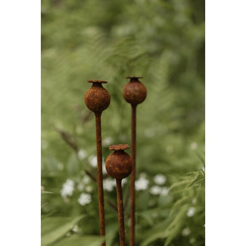 ������ ������ ������� ����� ���� ��� ���� 3-70 ����