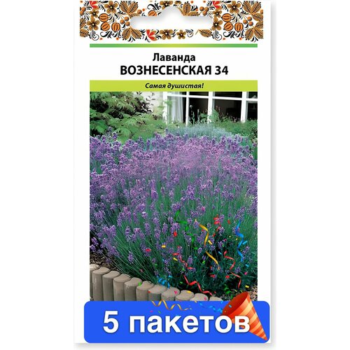 ������ ������ ������� ������������ 34 5 ������� ����