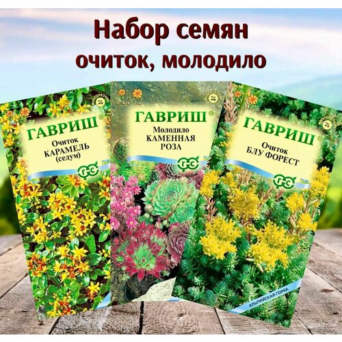 ������ ������ ������ ������ ������ �������� ����� 3 ��. ����