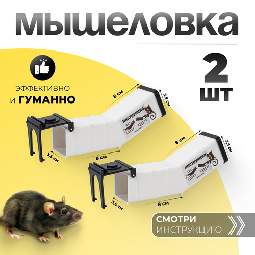 ������ ������ �������� ��������� - ����������������� ������������ ������� ��� �����, ��������� �������, �������� �� 2 ���� ����