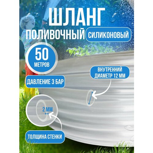 ������ ������ ����� ������� ���������� ����������� 12 �� 50 ������ ����