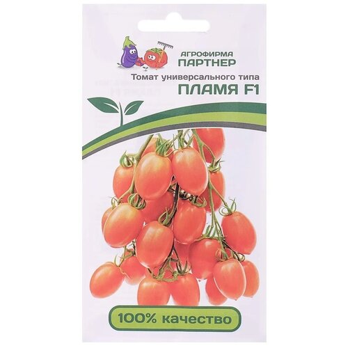 ������ ������ ������ ����� ����� F1 