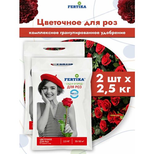 ������ ������ ��������� ������� ��������� ��� ��� �����-����-����� ����������� ���������������, 2 �� �� 2,5 �� ����