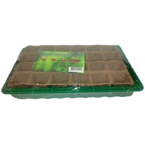 ������ ������ ����� ������ ����� ��� �������, 0.05 �, 1 ��., �������/���������� ����