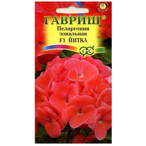 ������ ������ ������ ������ ���������� ��������� ����� F1 4 ��. ����