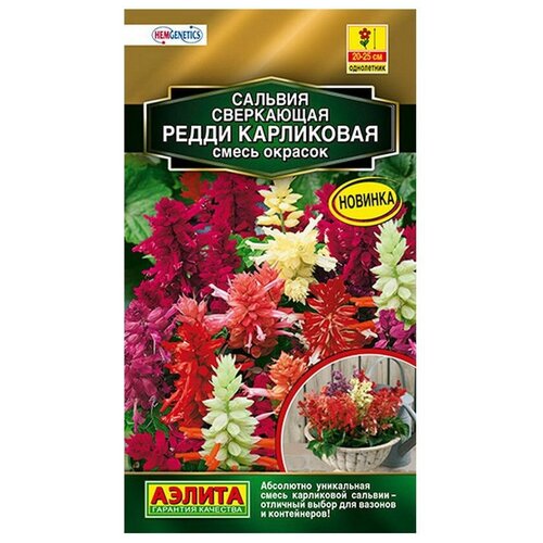 ������ ������ ������ ��������� ������ ������� ����� ����������, ����� ������� 7 ��. ����