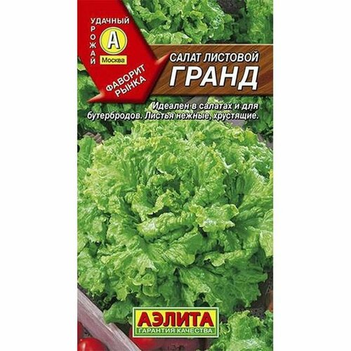 ������ ������ ������ ����� ����� �, �������� (������) 0,5� ����