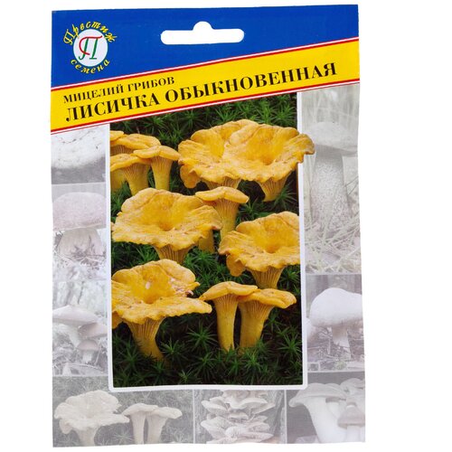 ������ ������ ������ ���� ������� ������������ ����