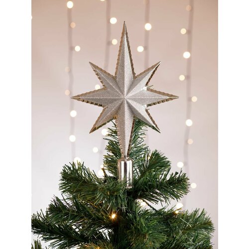 ������ ������ ������� ��������� �������� ���� �� ���� ����