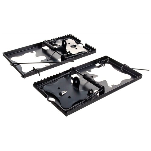 ������ ������ ���������� Sparta 93889 ������.. 2 ��. ����