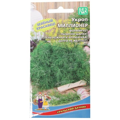 ������ ������ ������ ����� 