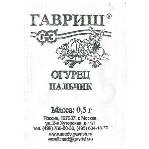 ������ ������ ������. ������ 