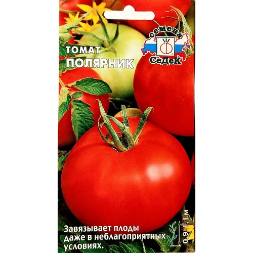 ������ ������ ������ ����� �������� ����