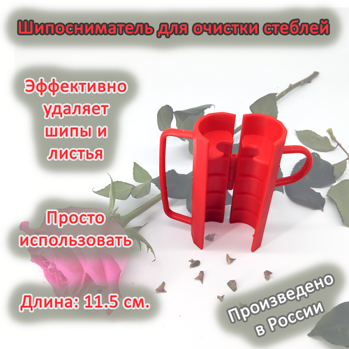 ������ ������ ������������� ��� ������� �������, ������� / ��������� ����� � ��� ����