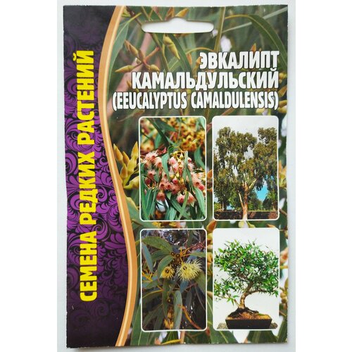 ������ ������ �������� �������������� Camaldulensis 0.05�� ����