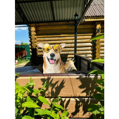 ������ ������ ������� ����� �� ������� 