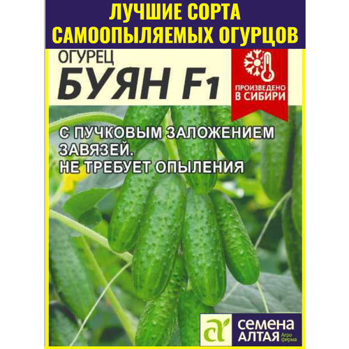 ������ ������ ������ ������������� ������� ���� F1 - 5 ��. ������ ����������������� �������� ��� ��������� ������ � ������ ����