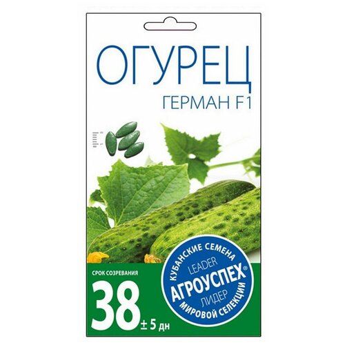 ������ ������ ������ ��������� ������ ������ F1 7 ��. ����