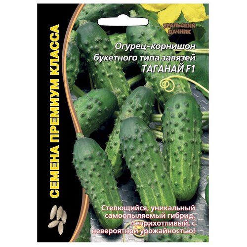 ������ ������ ������ ��������� ������ ������� ������ ������� F1 5 ��. ����