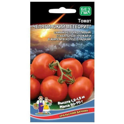 ������ ������ ������ ��������� ������ ����� ����������� �������� 20 ��. ����