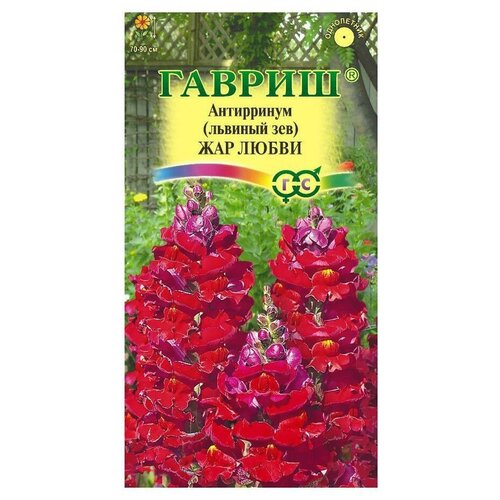 ������ ������ ������ ������ ������� ��� ������������ ��� ����� ����