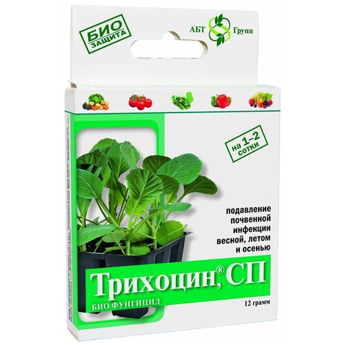 ������ ������ ����������������� ���-�������� ��������, 12 ��, 12 � ����